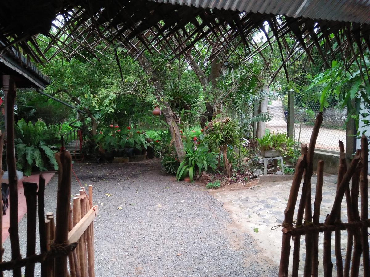 Helena Holiday Cottage Dikwella Εξωτερικό φωτογραφία